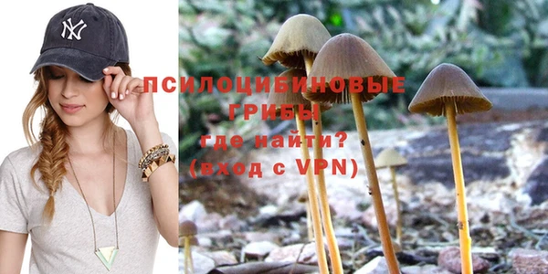 гидропоника Алексин