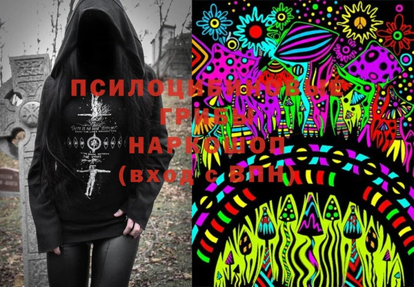бошки Снежногорск