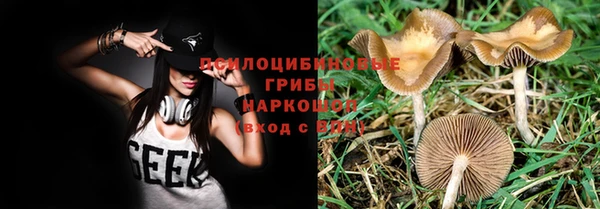 гидропоника Алексин