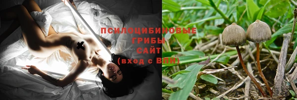 прущие грибы Алексеевка